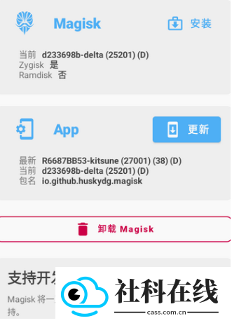 面具鸭