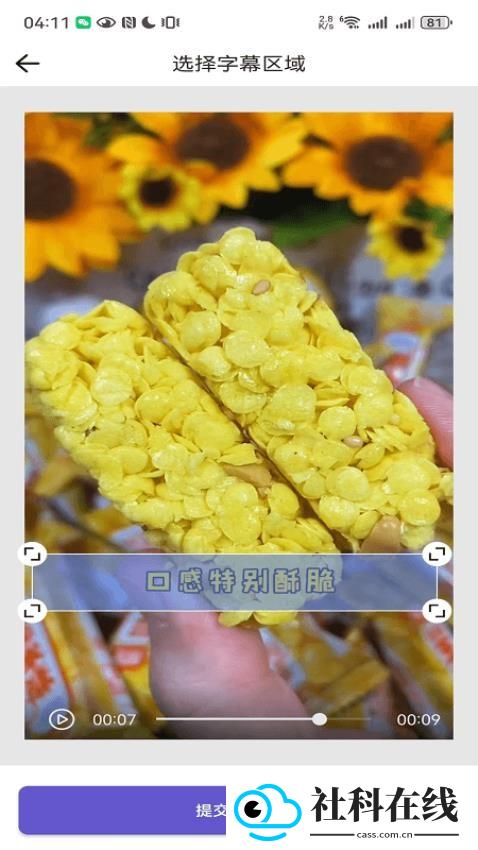 鲁班去字幕