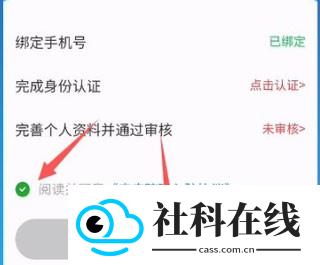 皮皮陪玩
