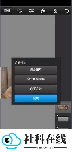 PSCC手机版