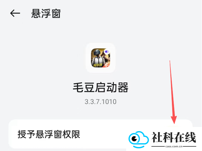 毛豆直装