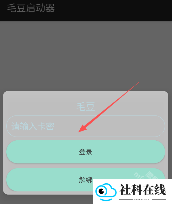 毛豆直装
