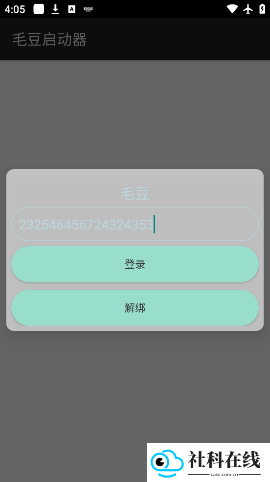 毛豆直装