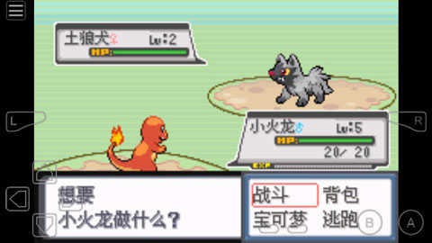 口袋妖怪白金光珍藏版