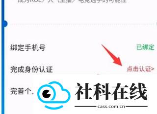 皮皮陪玩