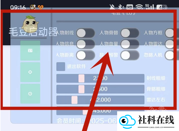 毛豆直装