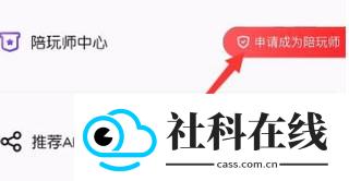 皮皮陪玩