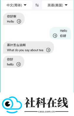 轩优翻译
