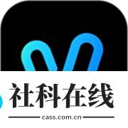 vidu国际版