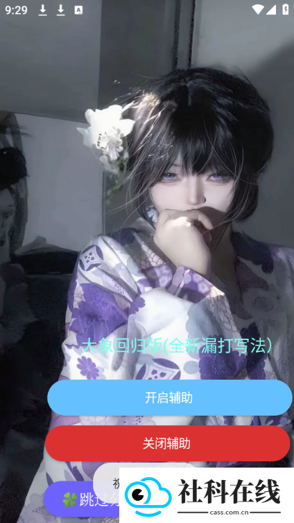 大象直装