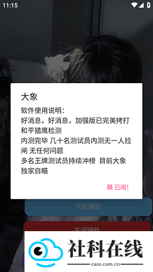 大象直装