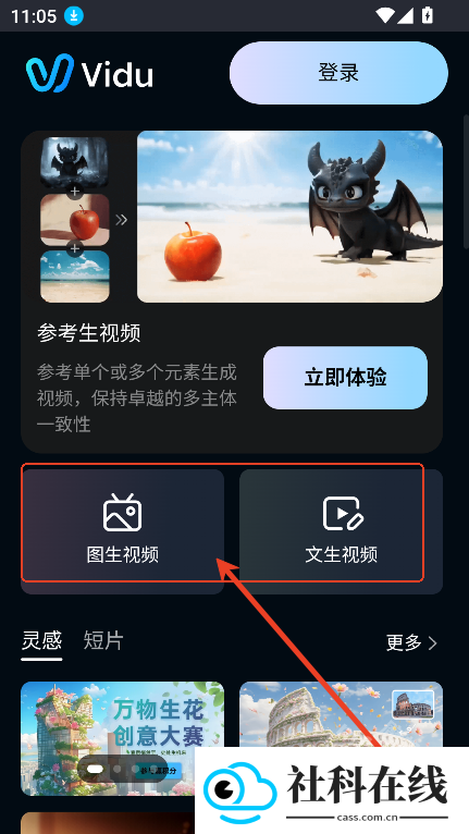 vidu国际版