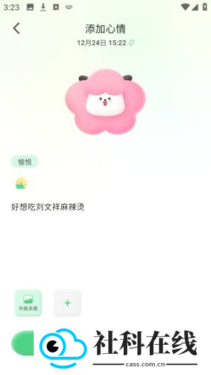 feelflow手表版