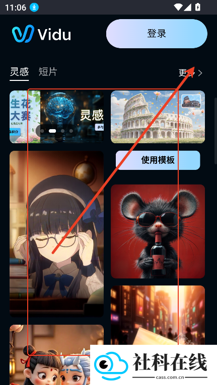 vidu国际版
