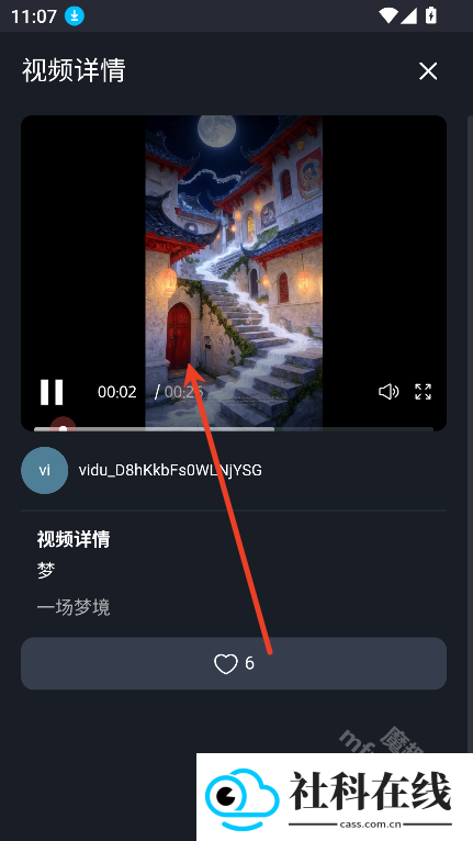 vidu国际版