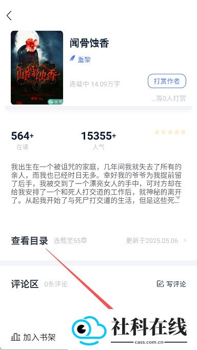 小说家