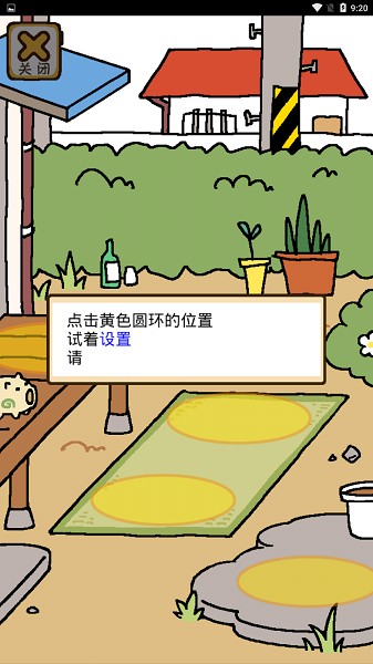 猫咪后院原版