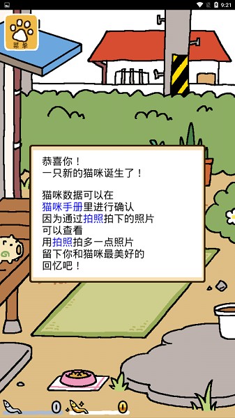 猫咪后院原版