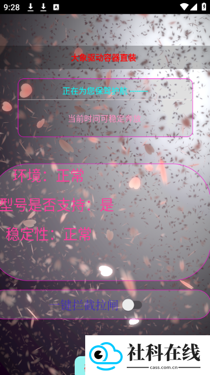 大象直装