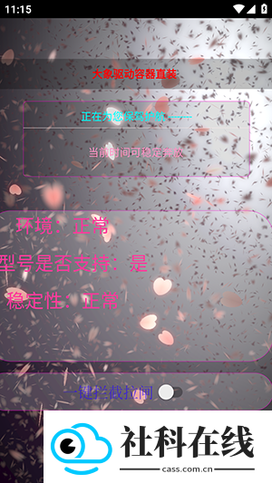 大象直装