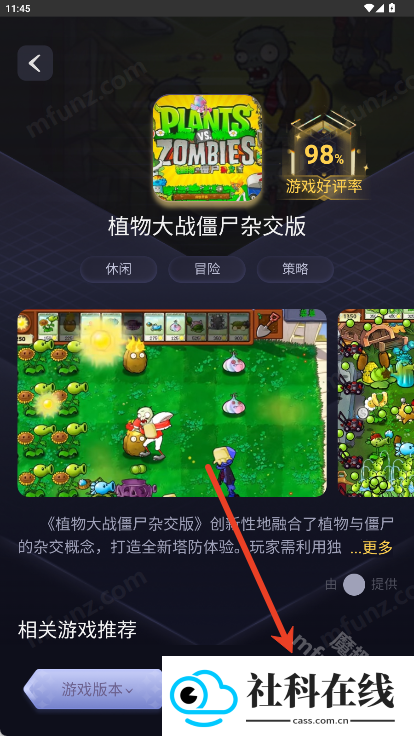 Go云游