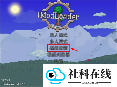 tmodloader创意工坊