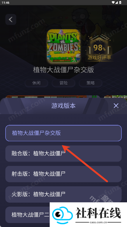 Go云游