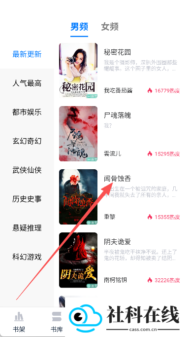 小说家
