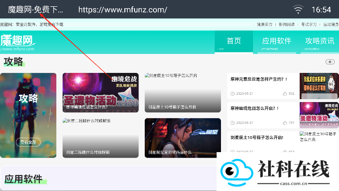 飞视浏览器电视版