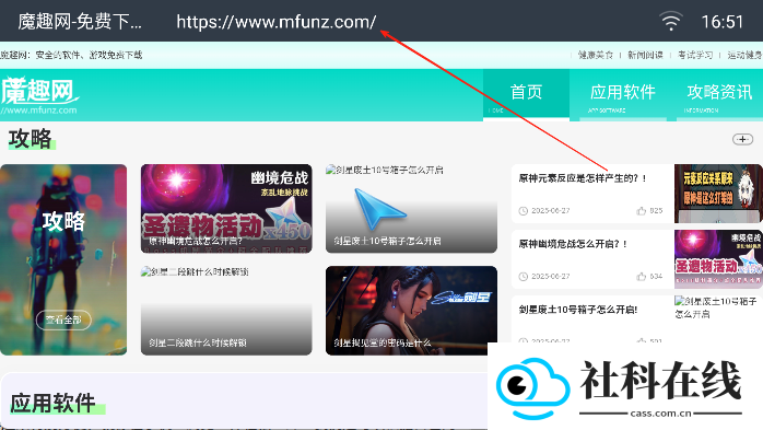 飞视浏览器电视版