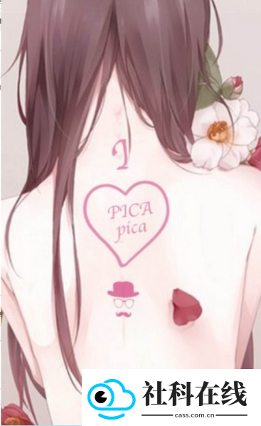 picacg