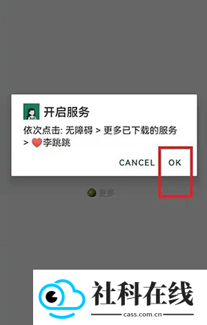 李跳跳