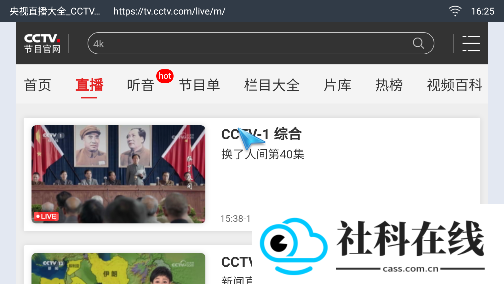 飞视浏览器电视版