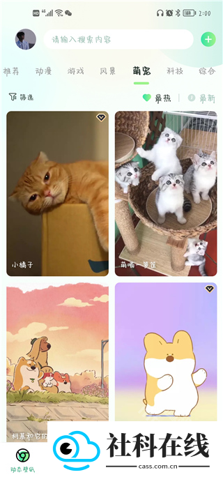 飞火动态壁纸