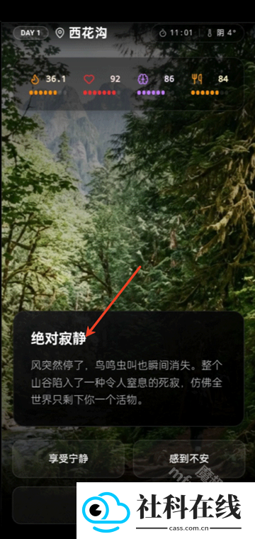 赛博徒步app官方版