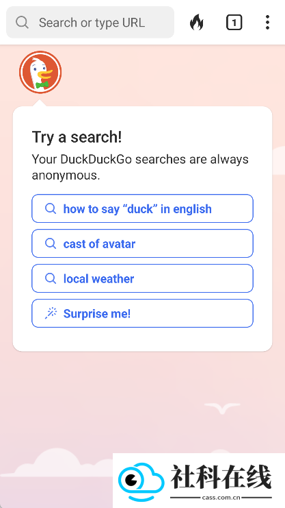 duckduckgo搜索引擎