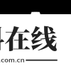 aopaop模拟器