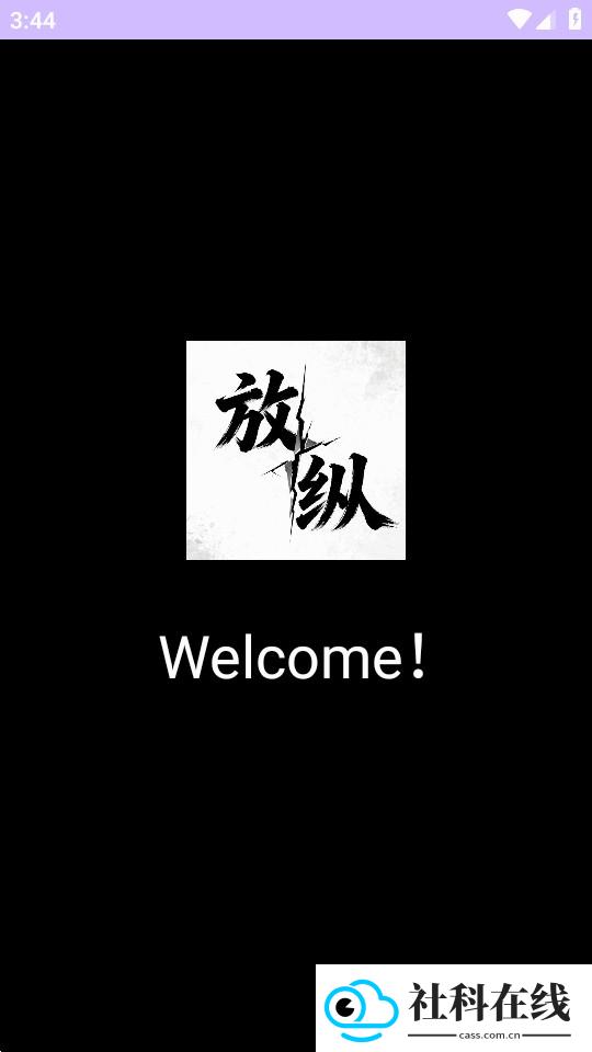 放纵直装