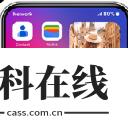 苹果模拟器