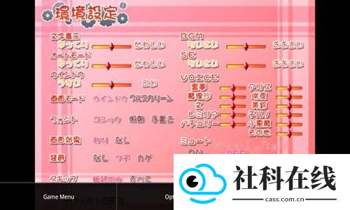 XP3Player