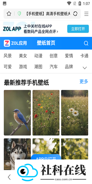 PP浏览器手机版