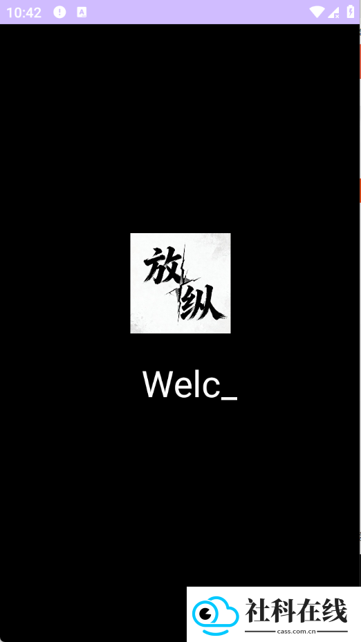 放纵直装