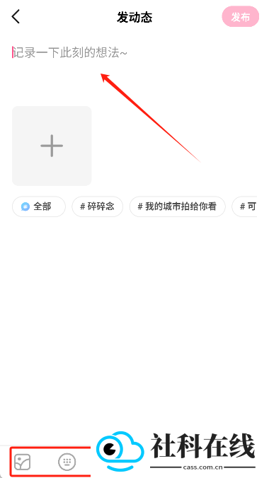 皮皮蟹