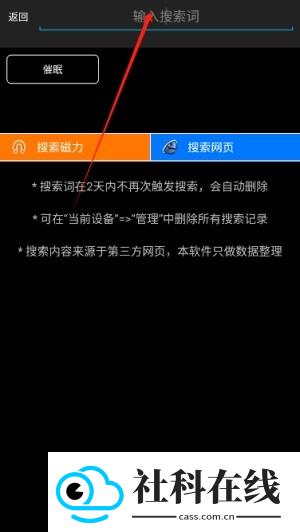 p搜苹果手机版