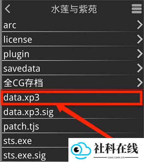 XP3Player