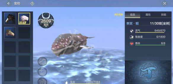 云妄想山海