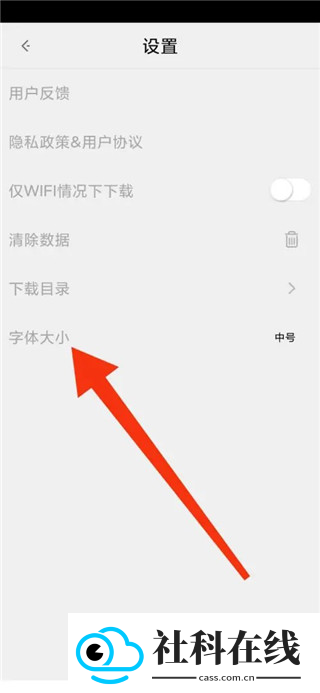 闪电浏览器