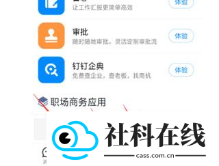 DingTalk国际版