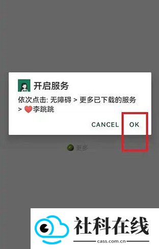 李跳跳官方正版2026