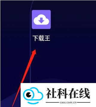 下载王app